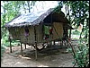 2006-03-thai_369.jpg
