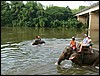 2006-03-thai_374.jpg
