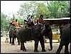 2006-03-thai_375.jpg