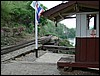 2006-03-thai_379.jpg