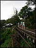 2006-03-thai_393.jpg