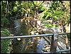 2006-03-thai_421.jpg