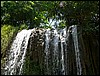 2006-03-thai_431.jpg