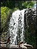 2006-03-thai_435.jpg
