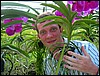 2006-03-thai_460.jpg