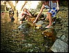 2006-03-thai_482.jpg