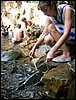 2006-03-thai_483.jpg