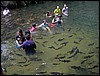 2006-03-thai_484.jpg
