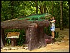 2006-03-thai_487.jpg