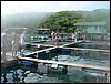 2006-03-thai_497.jpg