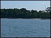 2006-03-thai_504.jpg