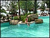 2006-03-thai_546.jpg