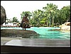 2006-03-thai_562.jpg